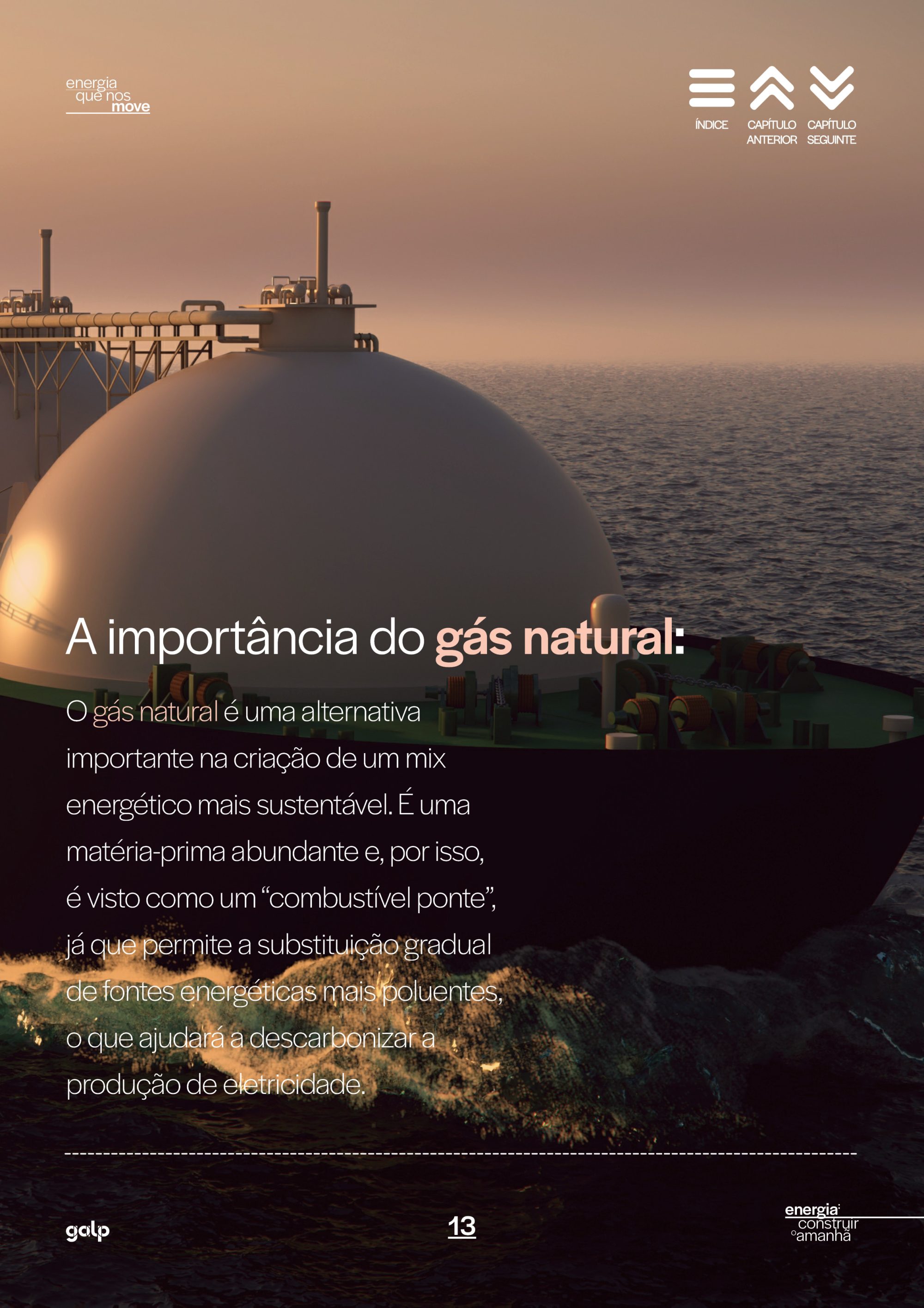 GALP OBSERVADOR13