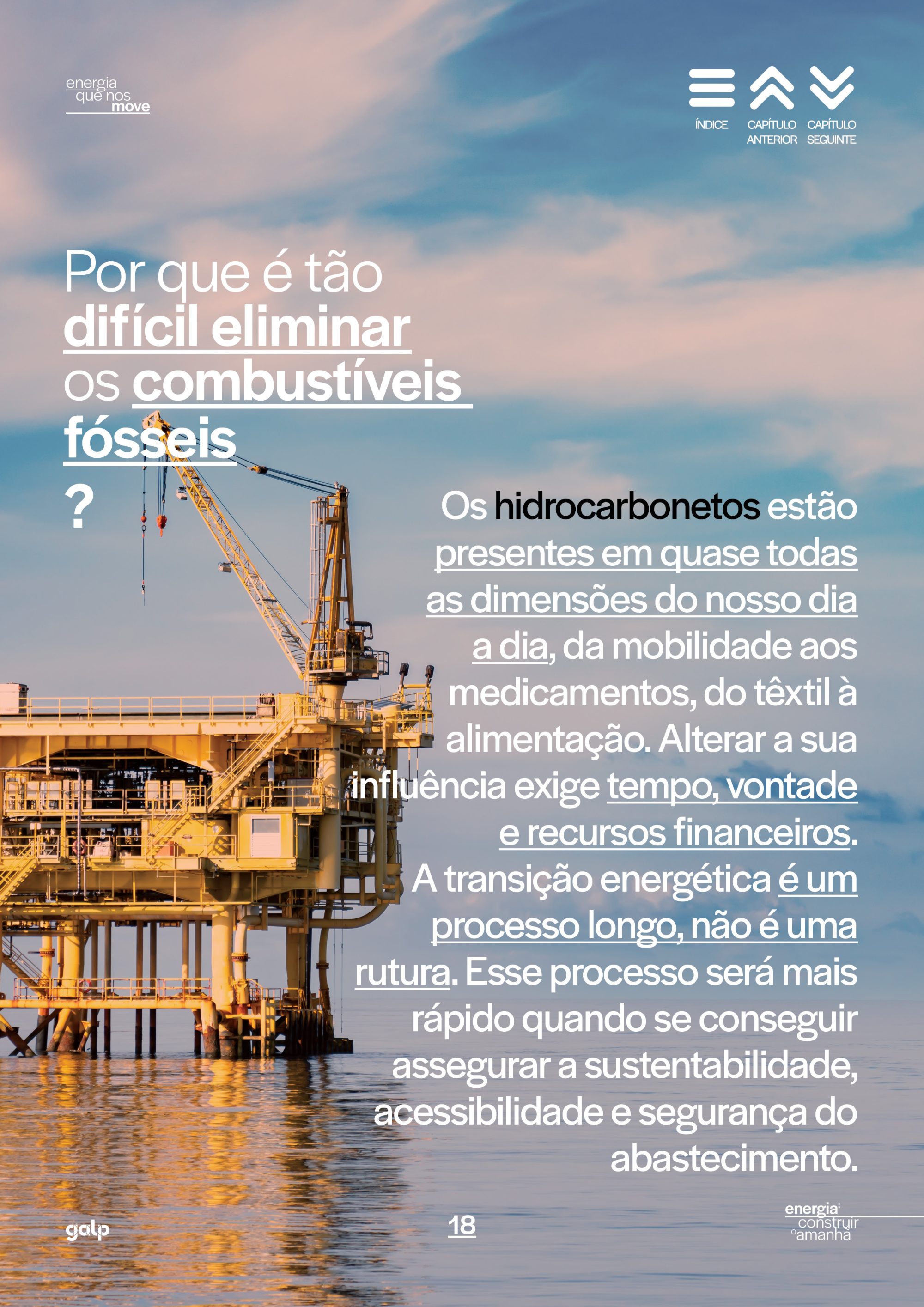 GALP OBSERVADOR18