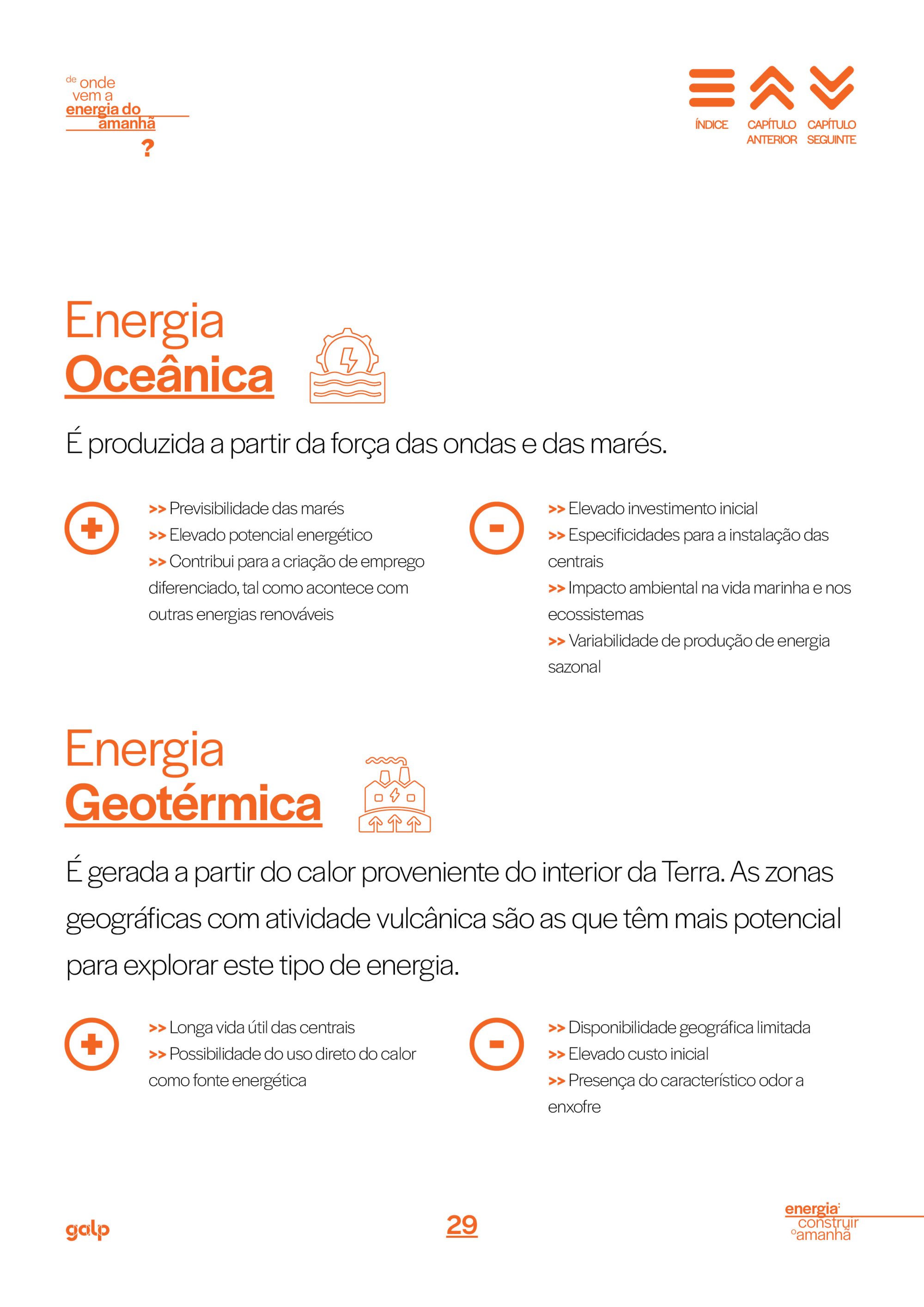 GALP OBSERVADOR29